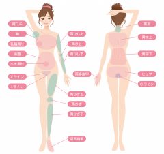 名古屋市昭和区いりなかで医療レーザー脱毛器(FDA承認機器)を用いた全身医療脱毛を提供しているいりなか駅前皮フ科ビューティークリニックの医療脱毛部位画像